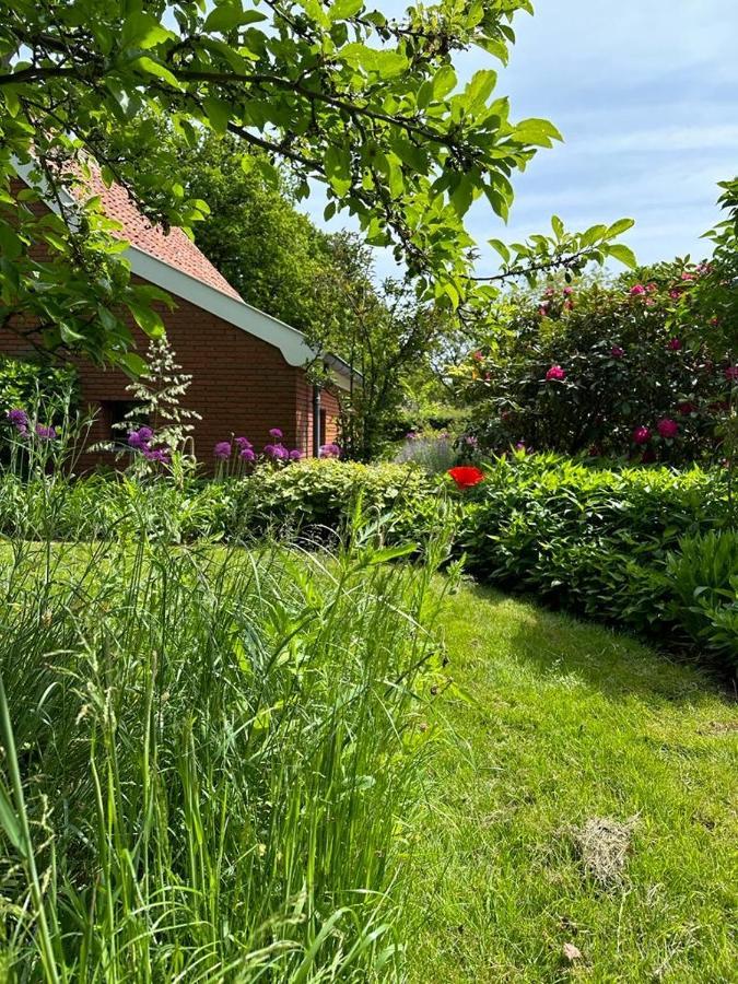Haystackcottage Paterswolde ภายนอก รูปภาพ