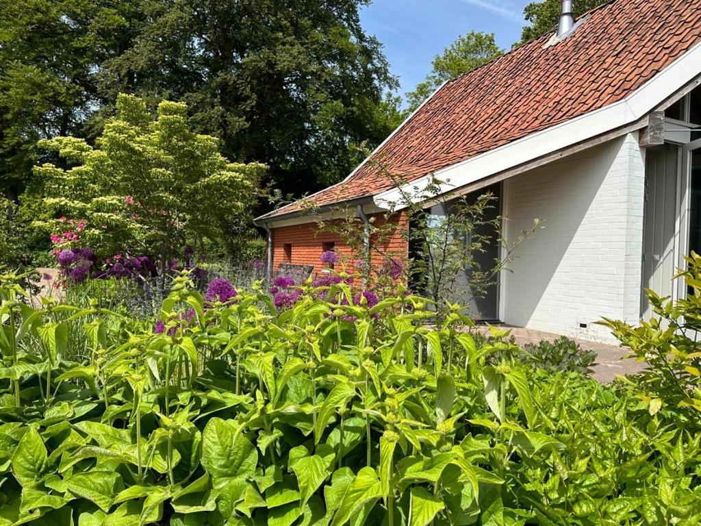 Haystackcottage Paterswolde ภายนอก รูปภาพ