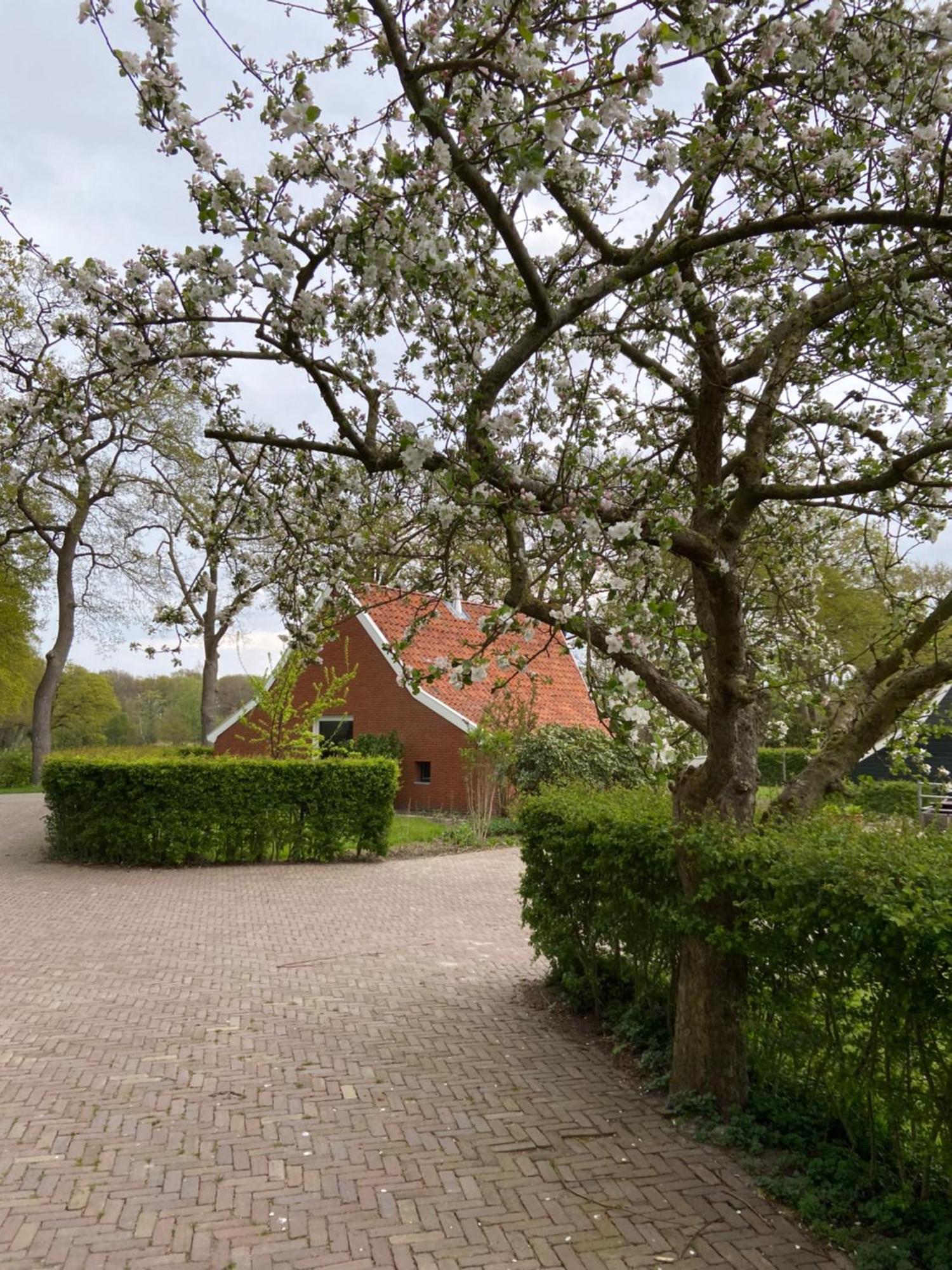 Haystackcottage Paterswolde ภายนอก รูปภาพ