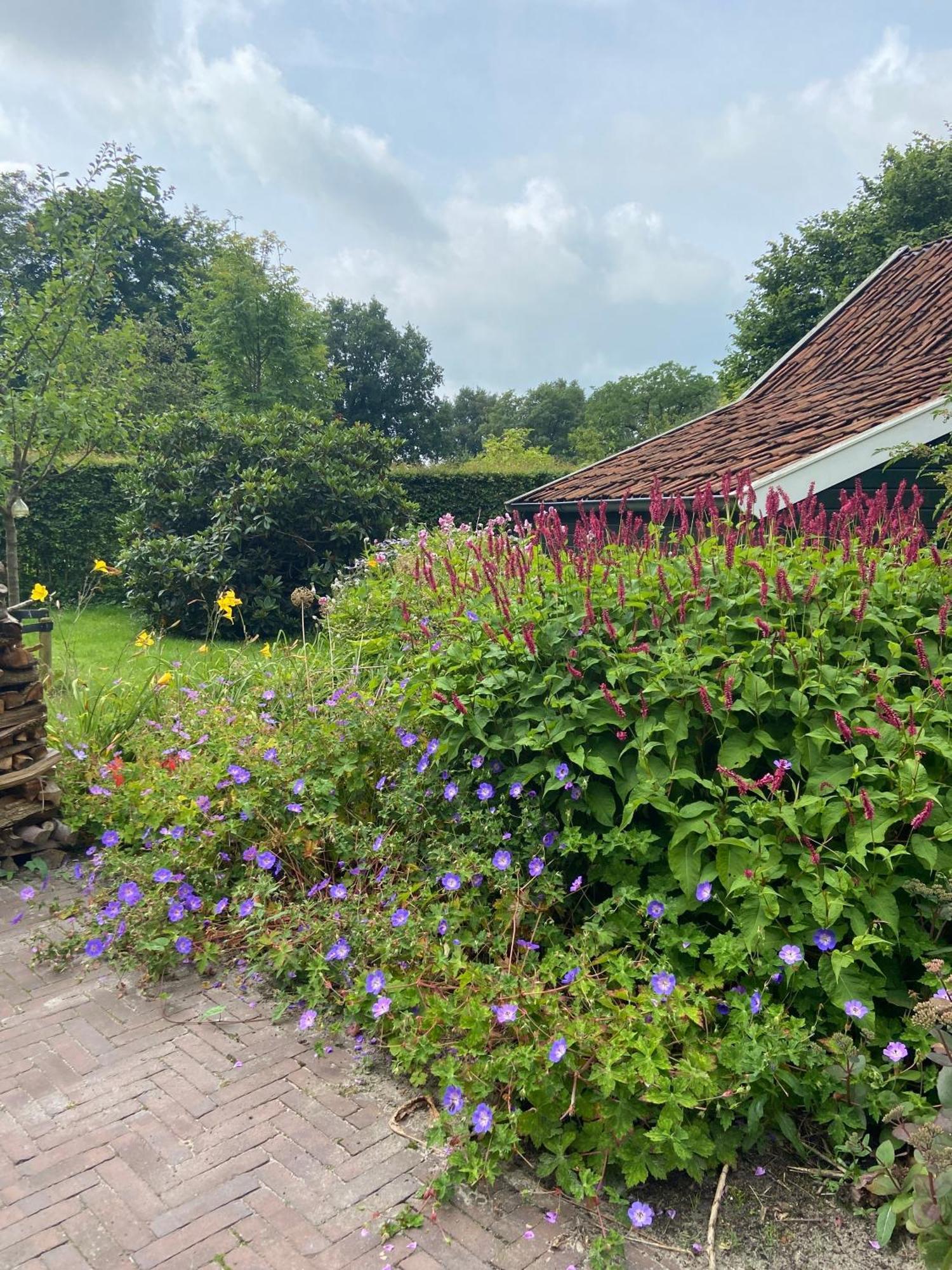 Haystackcottage Paterswolde ภายนอก รูปภาพ
